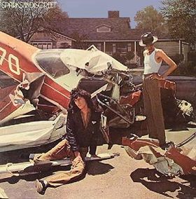A crashed light aeroplane in front of an American single storey house. Two men are in the wreckage but apparently largely uninjured. One is sitting on the ground holding his leg, and the man with the small moustache is standing, wearing a hat and wondering how he is going to reassemble the plane.