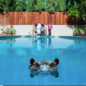 The sleeve of the Sparks LP 'Hippopotamus'. A hippopotamus is submerged, with only its eyes and ears showing, in an outdoor swimming pool of the kind often found in a big house. In the background two men stand in front of a white wall with a wooden fence above it, one wearing a full length towelling robe, and the other a red jacket and a small moustache. They are looking at the hippopotamus in the pool.